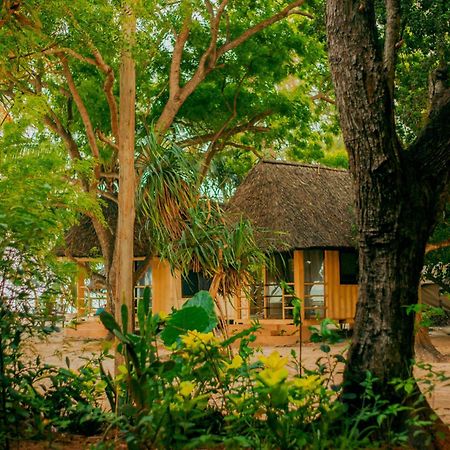 Mikadi Beach Camp & Backpackers Hostel Dar es Salaam Luaran gambar