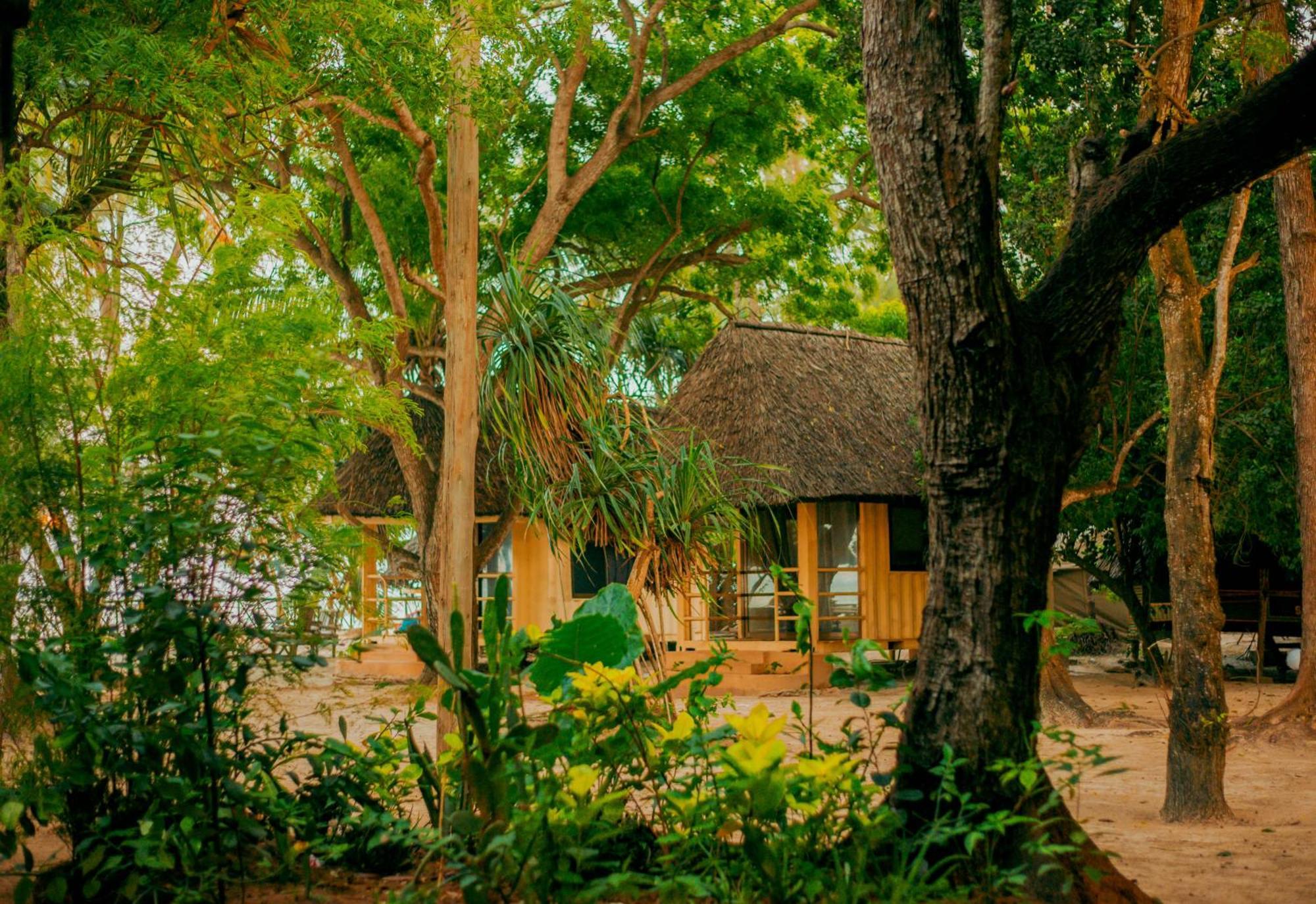 Mikadi Beach Camp & Backpackers Hostel Dar es Salaam Luaran gambar