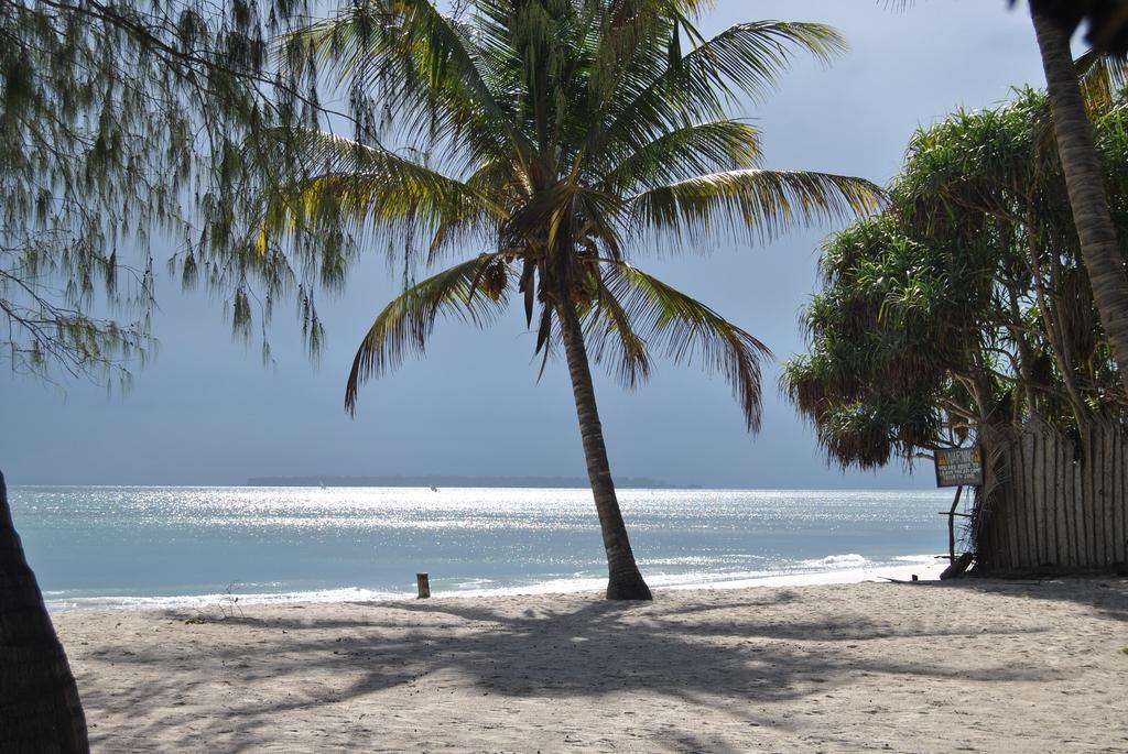 Mikadi Beach Camp & Backpackers Hostel Dar es Salaam Luaran gambar